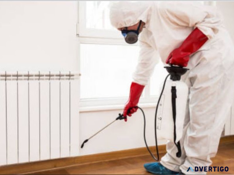 Hire pest control services in jaipur