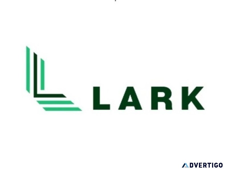 Apply for loan against securities in india | lark finserv