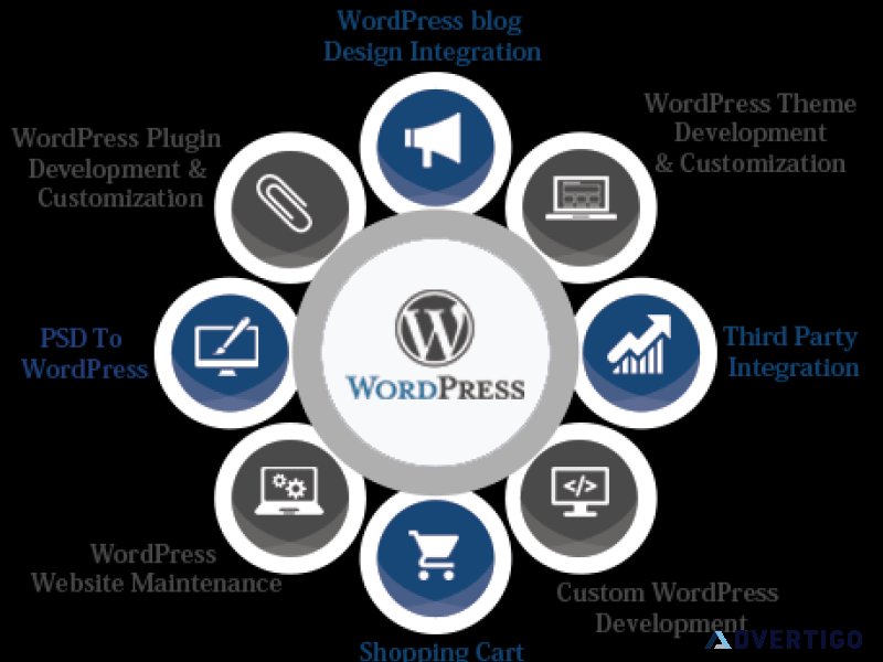 Wordpress development services | wordpress development agency