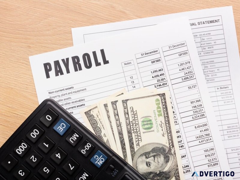 Secure and accurate payroll processing solutions | appletechsoft