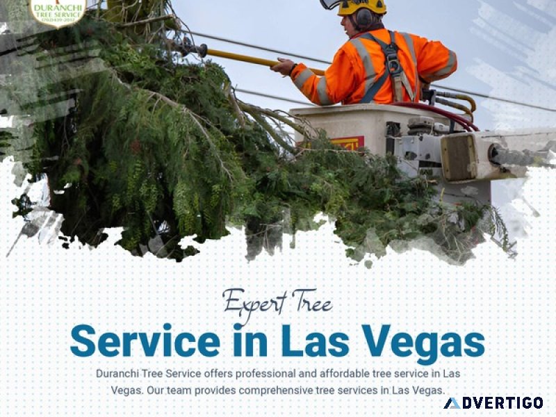 Las vegas tree service experts | quality tree care