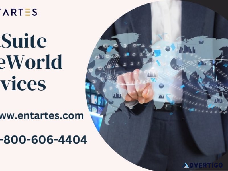 Netsuite oneworld services in uSA