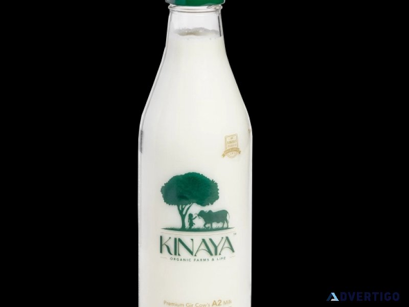 Gir cow a2 milk in jaipur - fresh & organic - kinaya farms