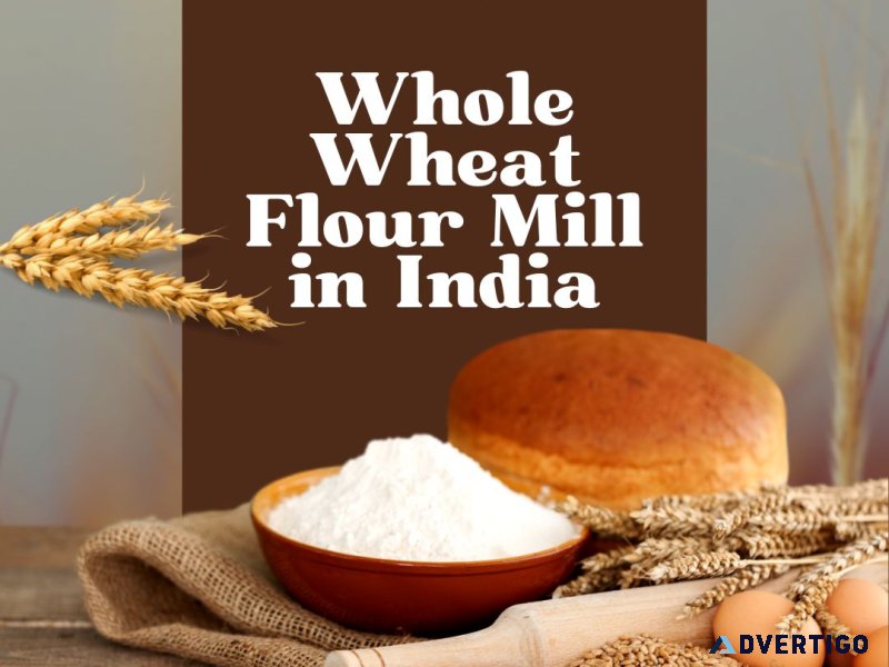 Whole wheat flour mill in india