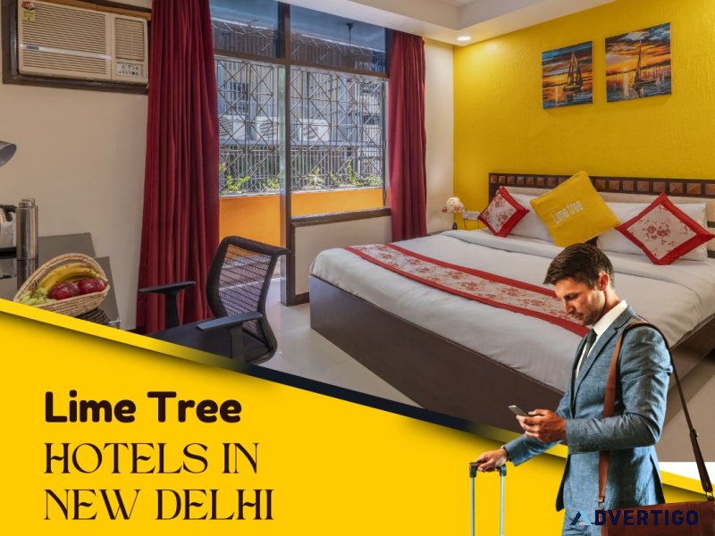 Hotel in new delhi