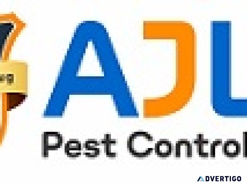 Termite control services in hyderabad