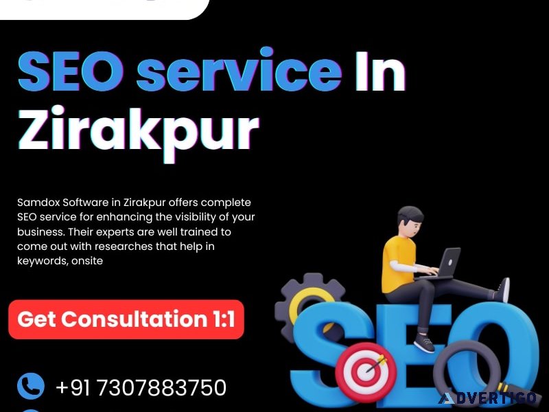 Seo services samdox software in zirakpur