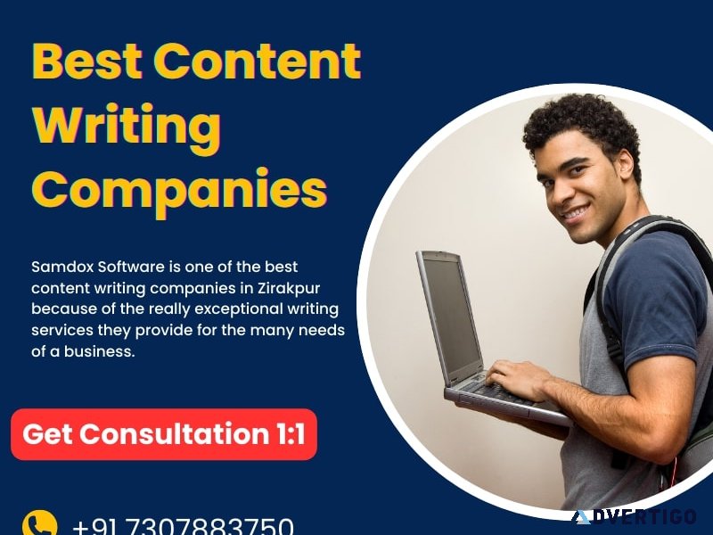 Website content writing company samdox software in zirakpur