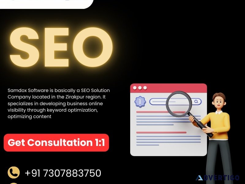 Seo company samdox software in zirakpur