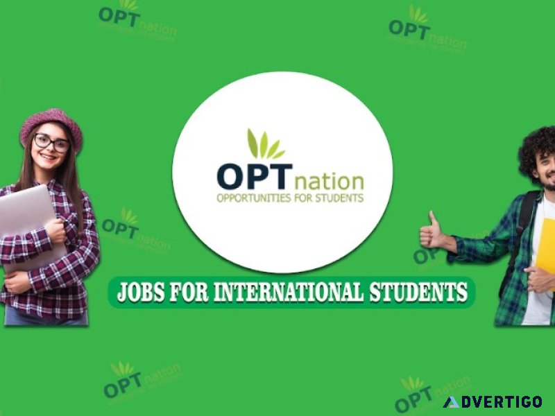 How to find opt jobs in usa