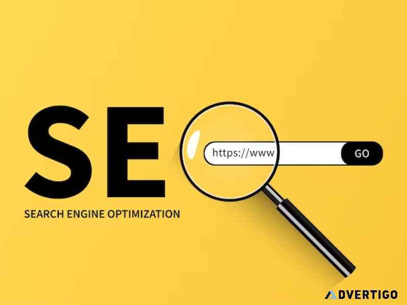 Seo company in india