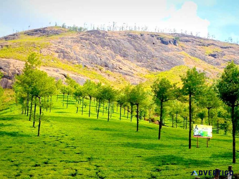 Discover photo point munnar