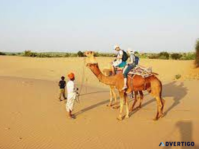 Luxury tent at jodhpur - accommodation