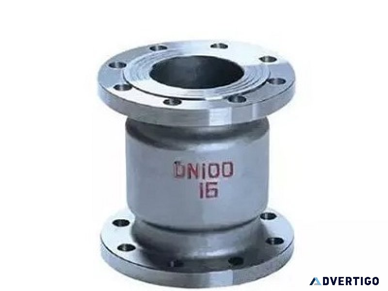 Vertical lift check valve