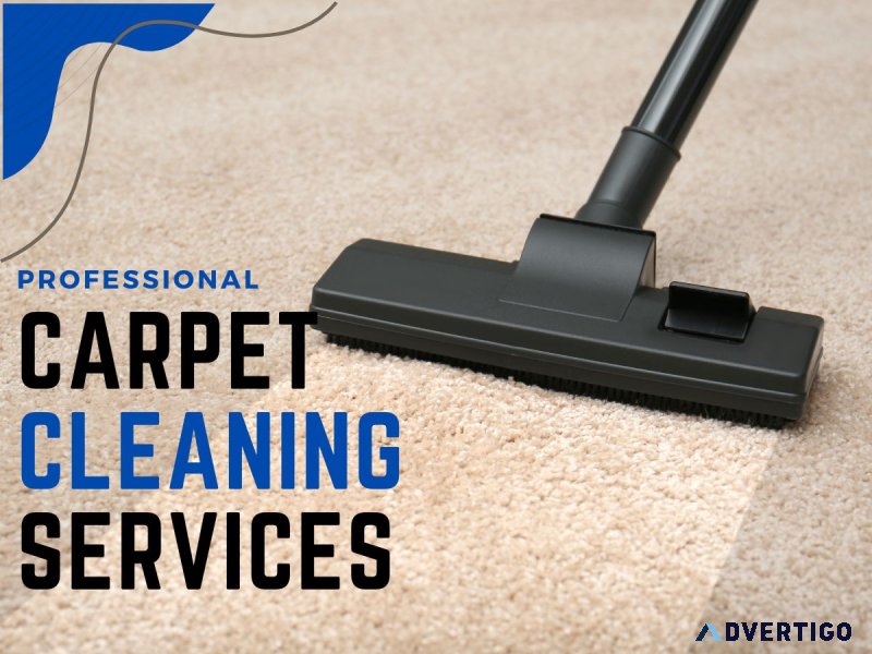 Fresh, Flawless Carpets in Coogee – Book Today