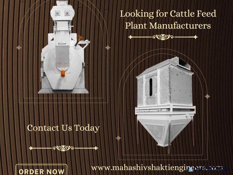 Looking for cattle feed plant manufacturers? contact us today