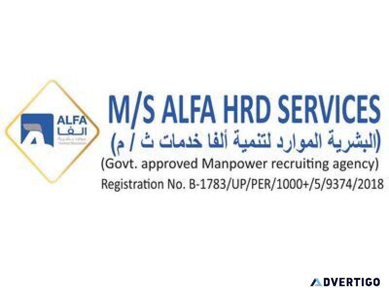 Top engineering management recruitment agencies | alfa hrd