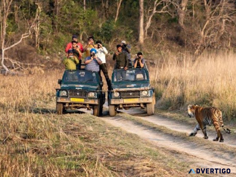 Trusted chardham tour operators in haridwar