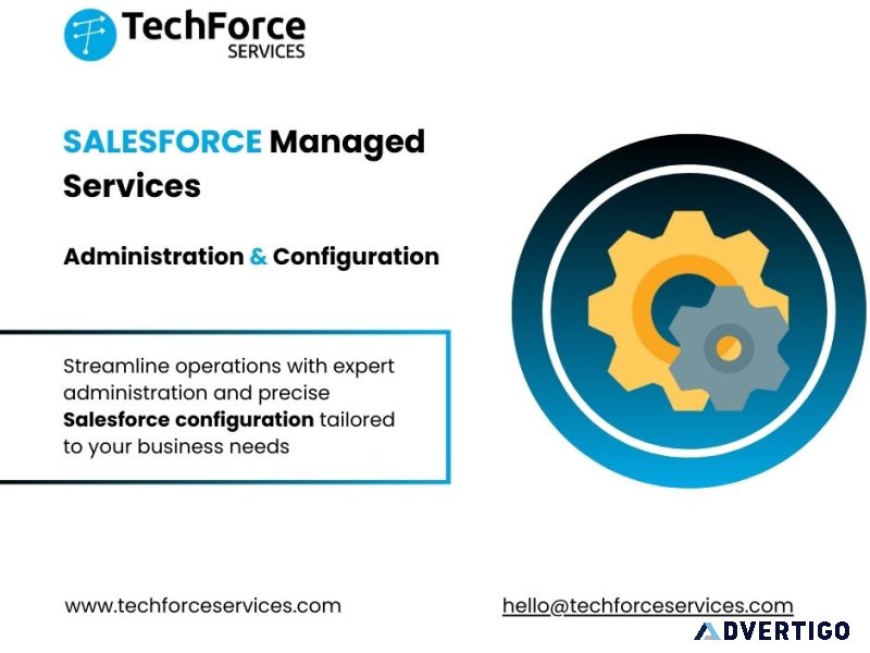 Salesforce managed services