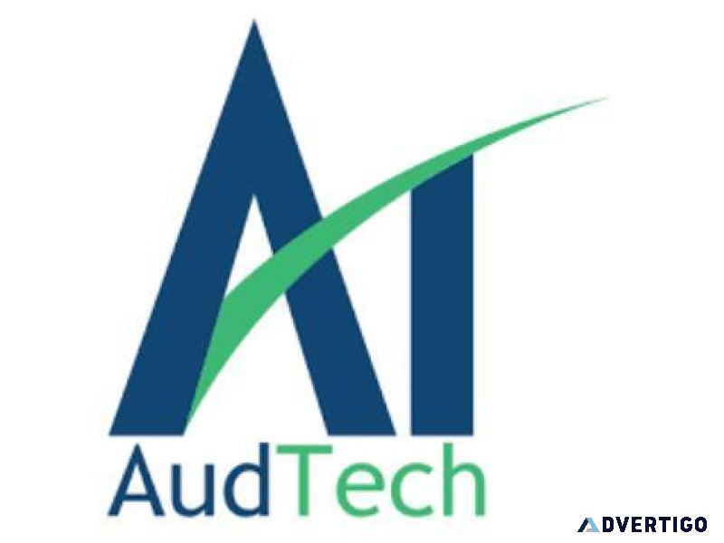 Audit workflow management - audit software in india