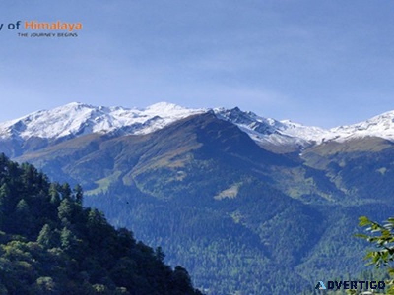 Exciting manali tour deals await