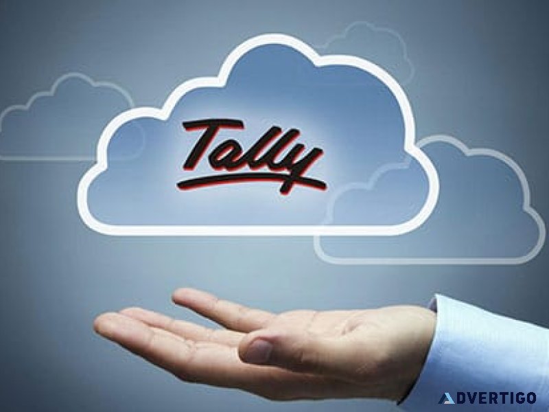 Tally software services