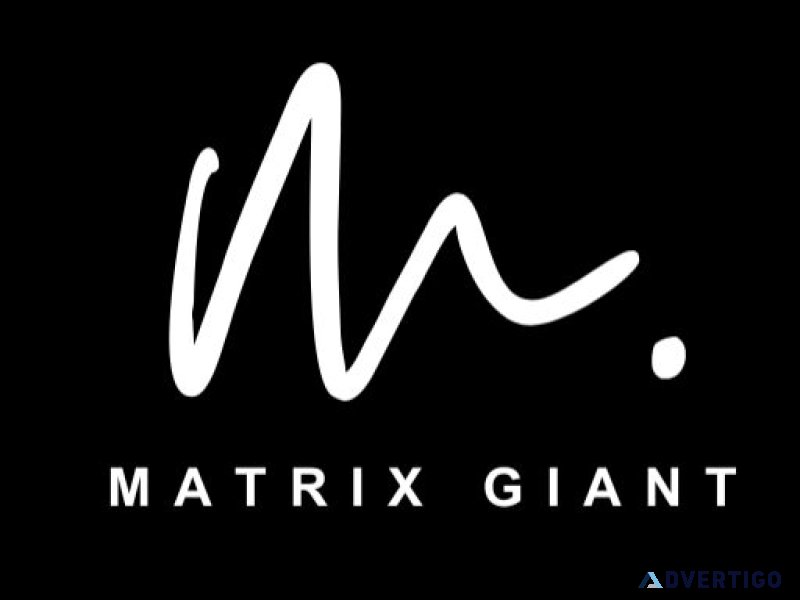 Best digital marketing agency in canada- matrixgiant