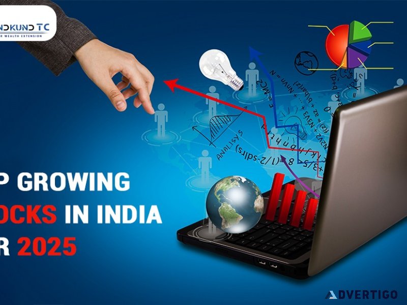 Top growing stocks in india for 2025