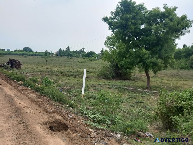 Dtcp approved plots for sale at palayaseevaram in walajabad