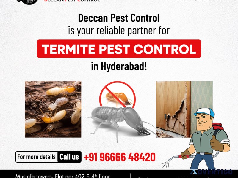 Termite pest control service