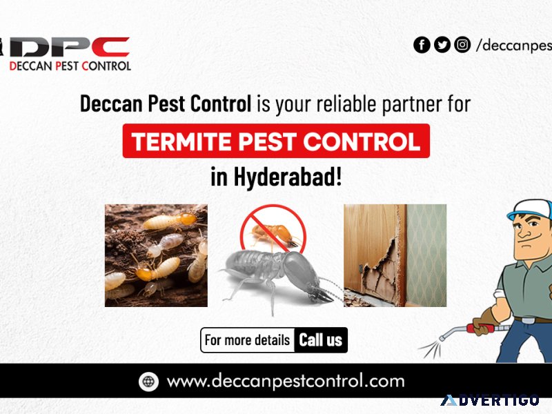 Termite pest control in hyderabad