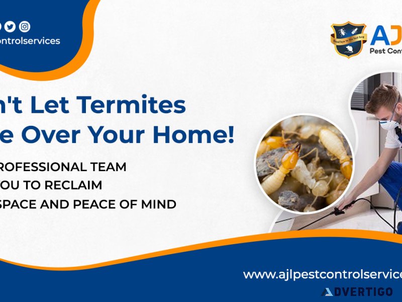 Termite control services in hyderabad