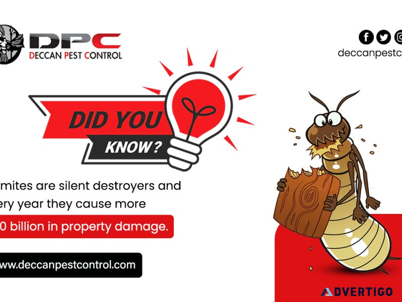 Best termite control services in hyderabad