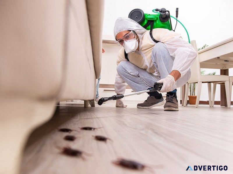 Bed bug pest control services