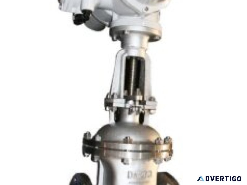 Electric actuated gate valve suppliers in india