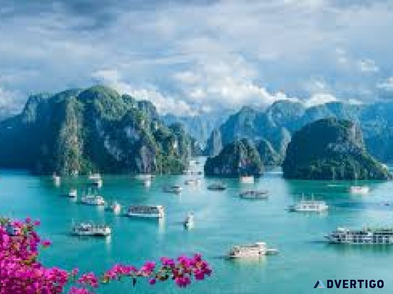 Explore vietnam: exciting tour packages await you