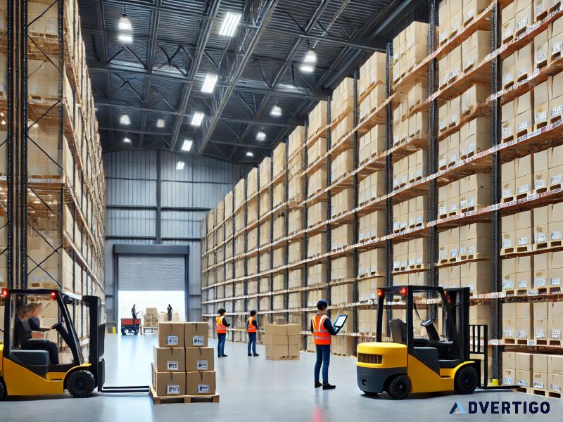 Carpsea: your trusted partner for warehouse services