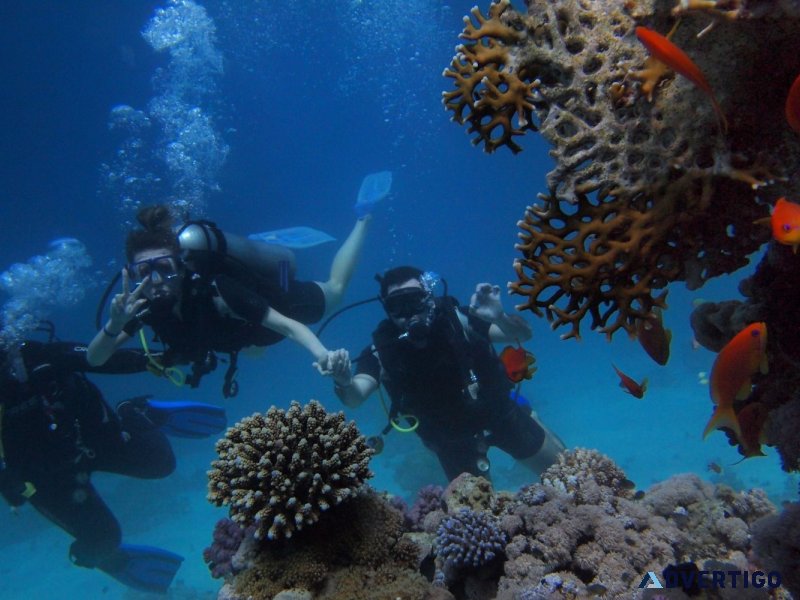 Scuba diving in chivla beach