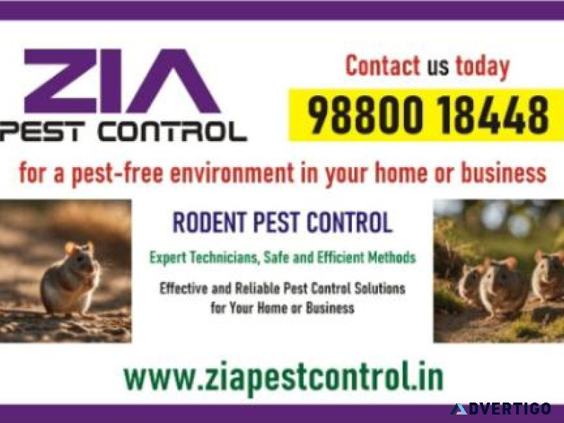 Rodent treatment | rodent control | 30% off on paying guest | 50