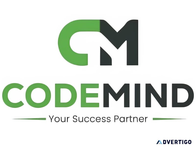 Professional website development services – codemind technology