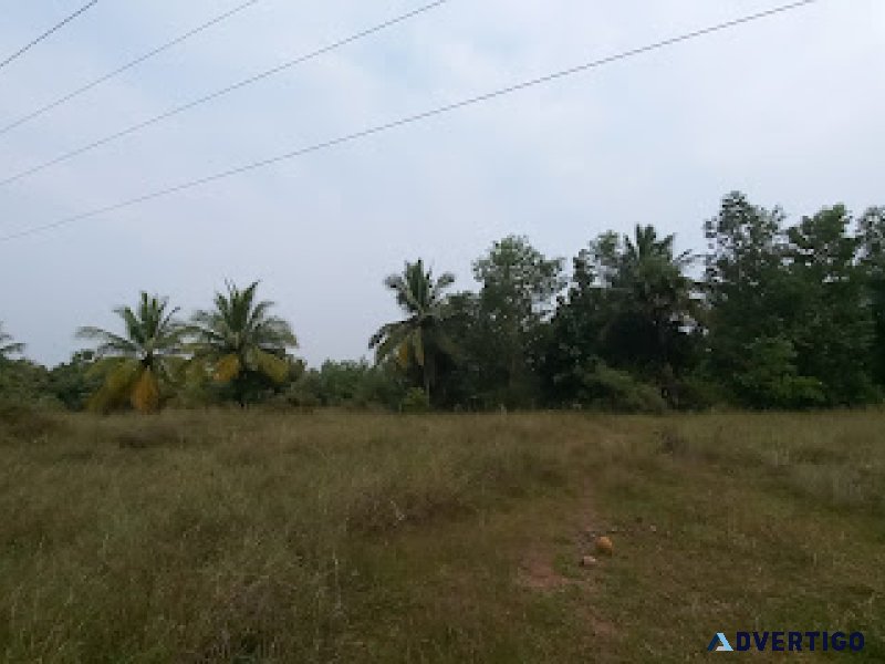 Low budget farm land sale at sriperumbudur