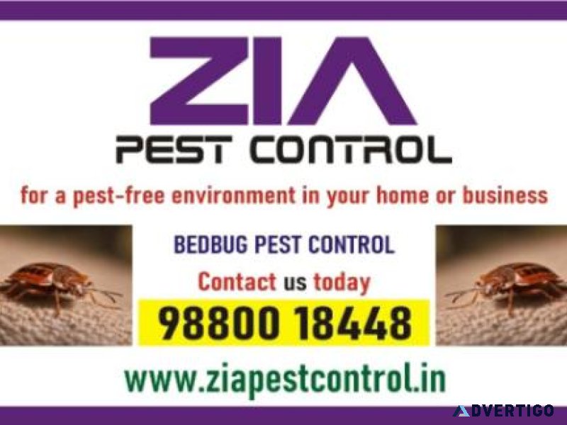 Top bed bug pest control in bangalore | zia pest control | 6017