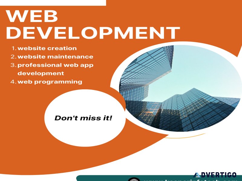 Using professional web development services to unlock success