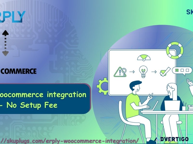 Increasing efficiency: skuplugs integration with erply and wooco