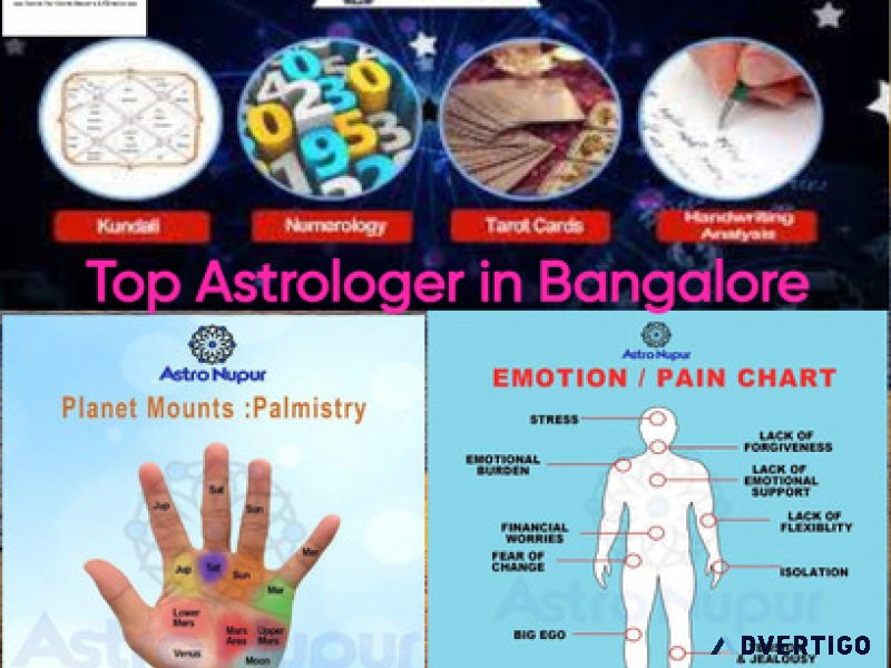 Top astrologer in bangalore