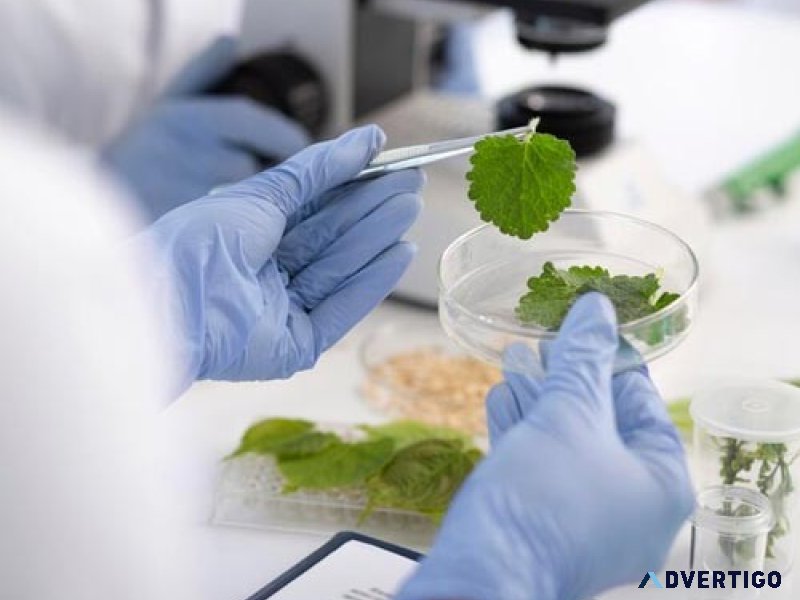 Biotechnology colleges in lucknow