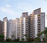 Saviour Greenarch maximum flats price