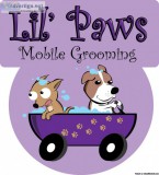 Affordable Mobile Dog Grooming