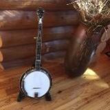 Stelling Banjo