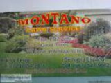 Montano Lawn Service